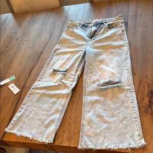 Risen Light Wash Cropped